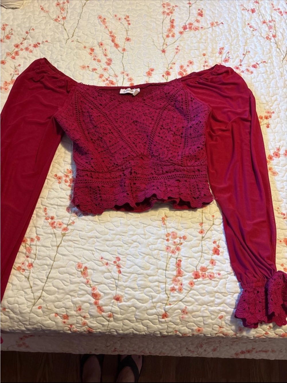 Crochet Lace Long-Sleeve Crop Top - Wine
